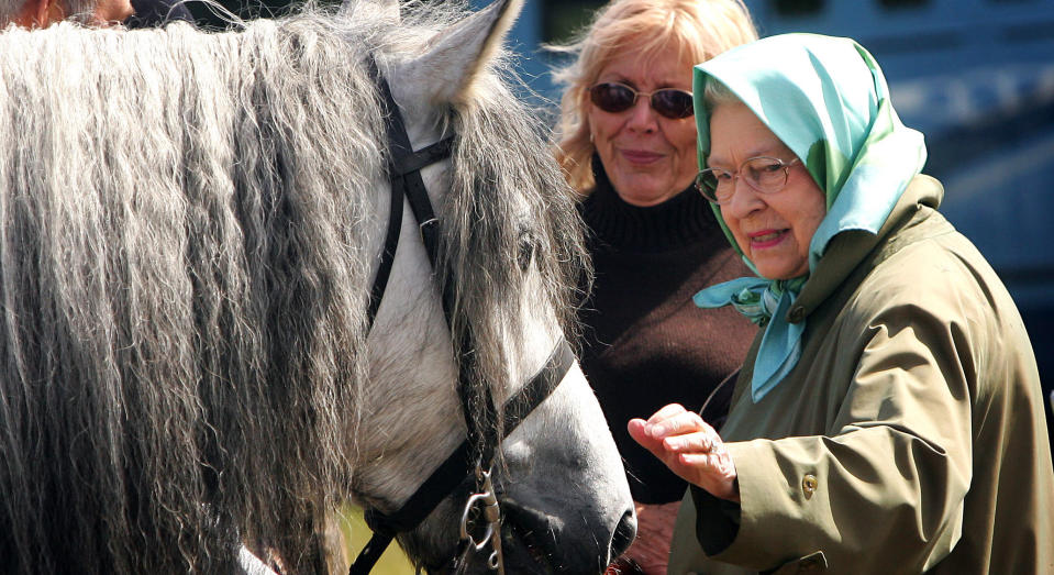 WINDSOR - MAY 11:  HRH Queen Elizabeth II pats her horse Balmoral Melody as she attends the Royal windsor Horseshow on May 11, 2007 in Windsor, England. This is the second day of the show and the Queen's horse Balmoral Melody was the 'Supreme Champion' of the Highland Pony class.  (Photo by Chris Jackson/Getty Images)