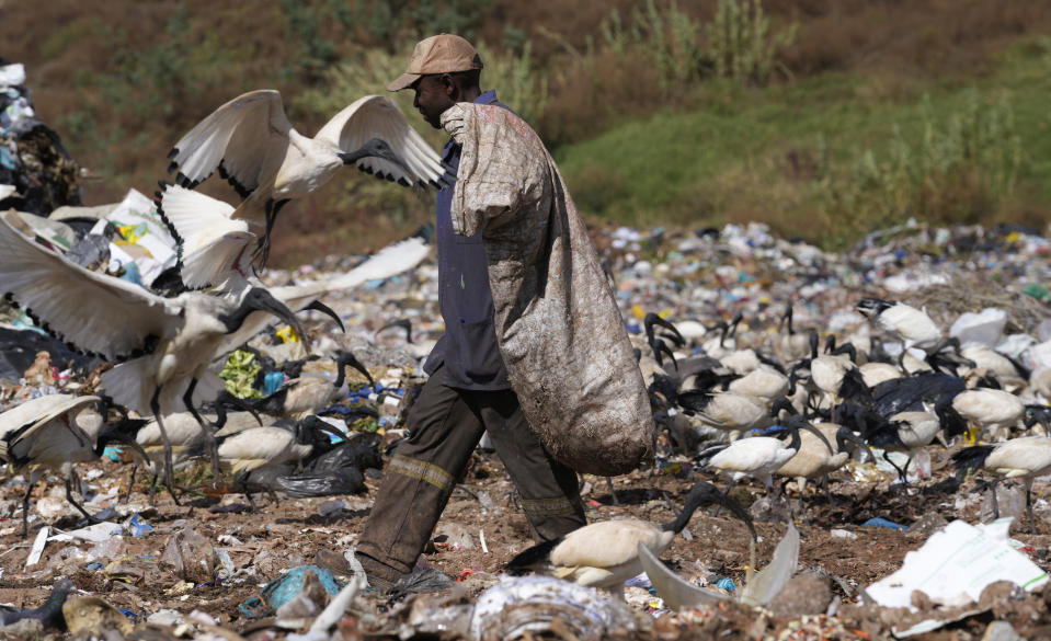 A waste picker rummages through garbage, at a dumping site in Johannesburg, South Africa, Friday, May 20, 2022. Environmental activists are gathering in South Africa this week to press governments and businesses to reduce the production of plastic because it is harming the continent's environment. (AP Photo/Themba Hadebe)