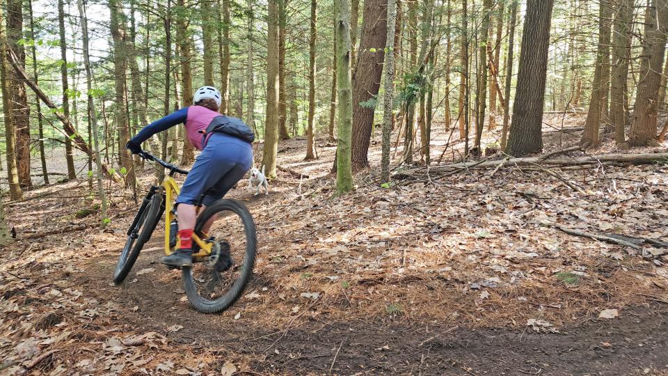 Cyclist wearing a Deuter Pulse Pro 5 hip bag in the woods