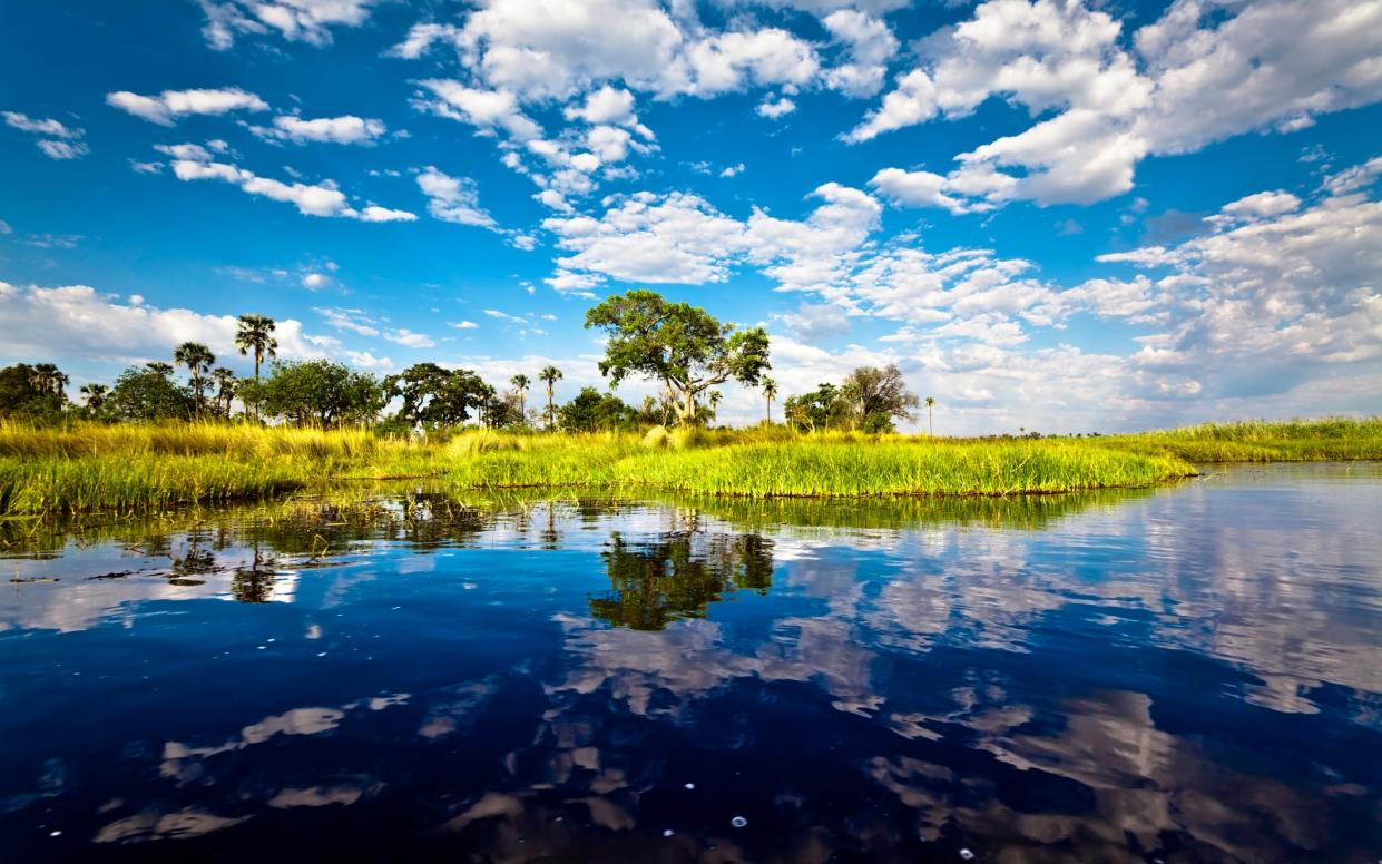 The Okavango Delta - nicolamargaret