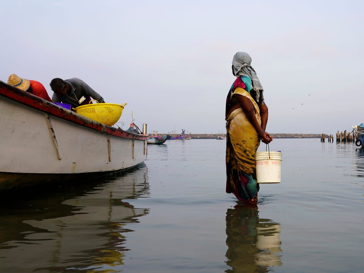 Many in the fishing hamlet of Kochi, Kerala state, India, are living with fears of weather events exacerbated by climate change (The Associated Press)