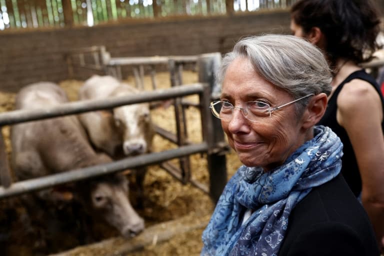 La Première ministre Elisabeth Borne en campagne pour les législatives dans le Calvados le 21 mai 2022 - Sameer Al-DOUMY © 2019 AFP