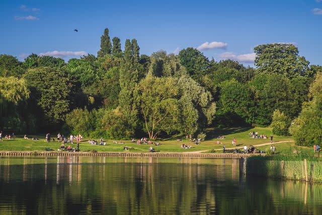 <p>Getty</p> Hampstead Heath in London