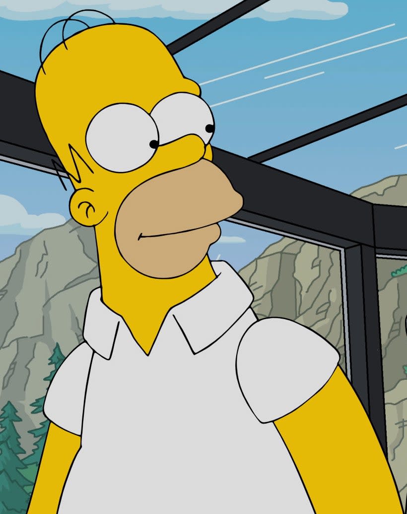 Homer Simpson in The Simpsons