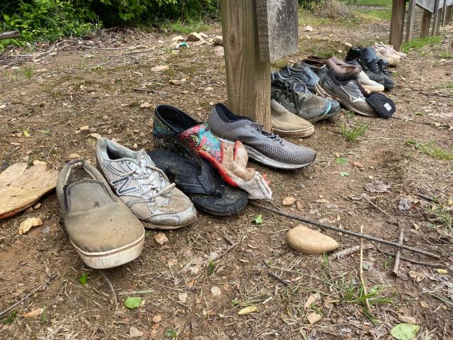 Foxes Take Fairfax Residents' Unguarded Shoes For Use As Toys