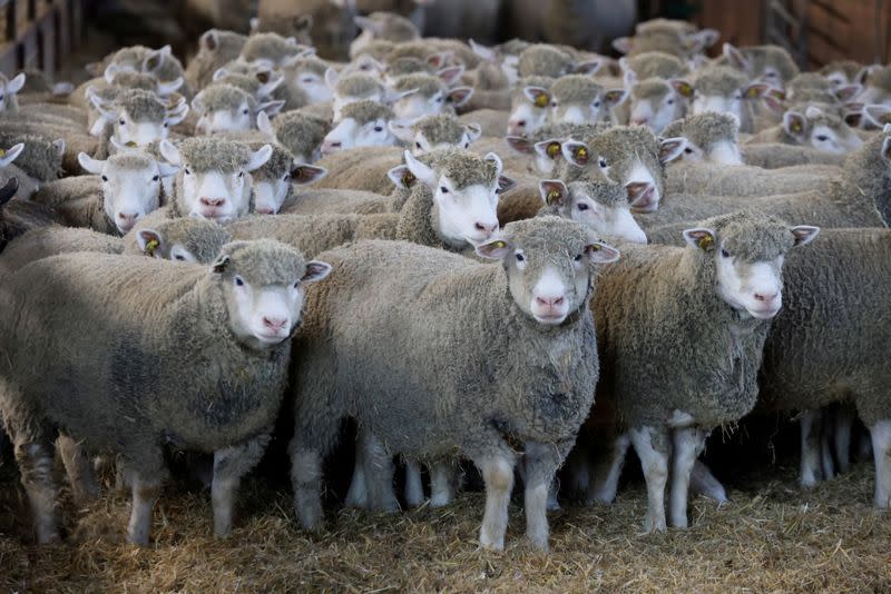 FILE PHOTO: French President Emmanuel Macron visits Burgundy