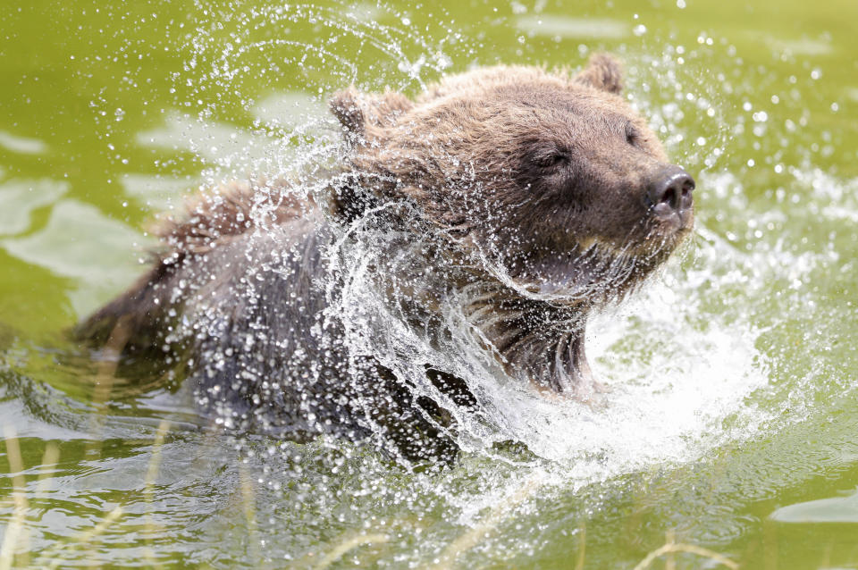 One of Wall Street’s biggest bulls just got a little more bearish on the stock market. (Andrew Matthews/PA via AP)