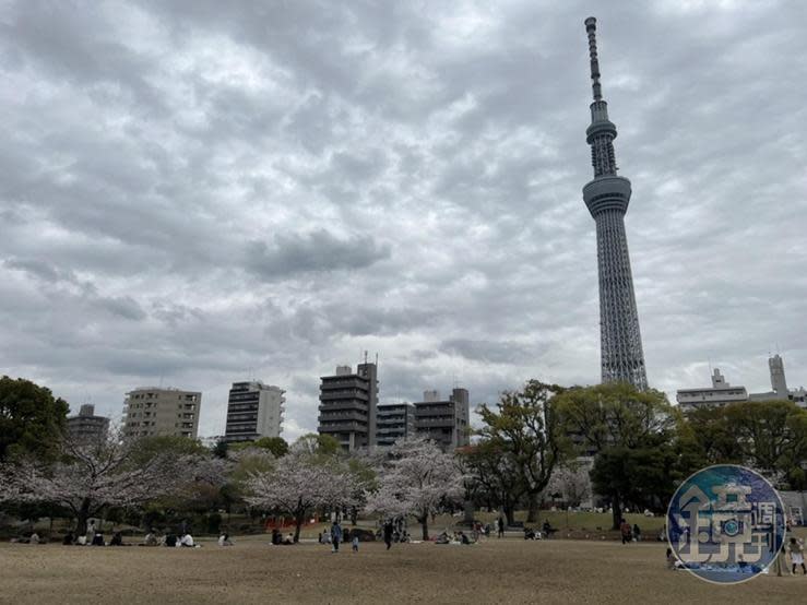 墨田區隅田公園能眺望晴空塔。