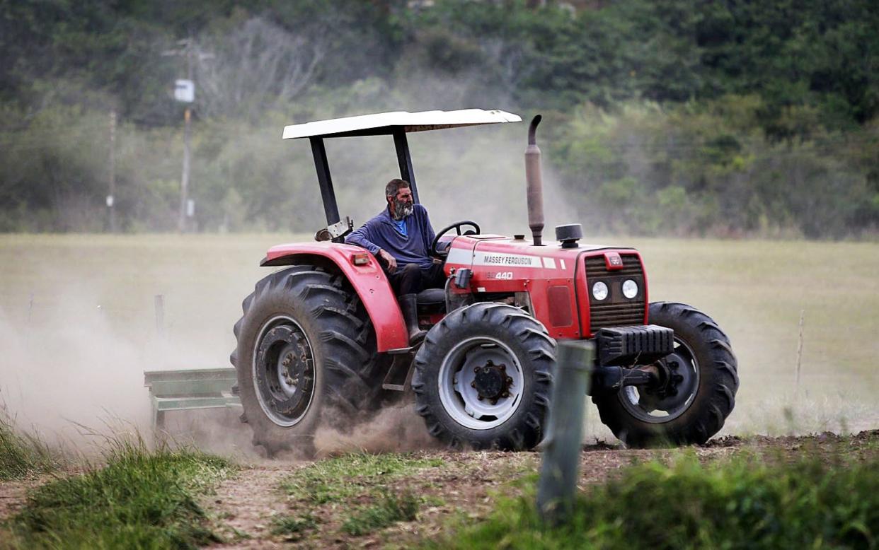 Louis van Schoor now works on a dairy farm