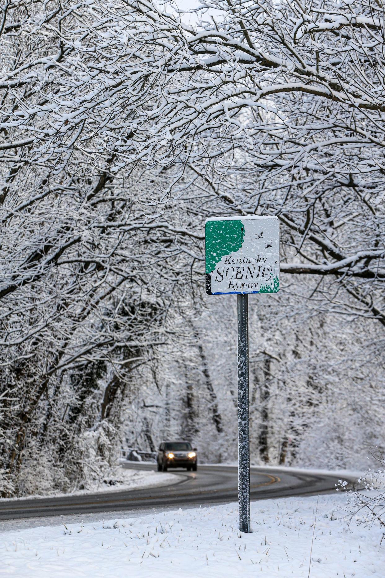 Cars drive though snow-covered trees on River Road near Lime Kiln Lane on Thursday, January 28, 2021, after a few inches of snow fell on Wednesday night around Louisville. The stretch of River Road from Mockingbird Valley Road to Lime Kiln Lane could see its speed limit capped at 35 mph at the conclusion of a Vision Zero Louisville audit of seven Metro-owned roads that is moving forward in 2023.