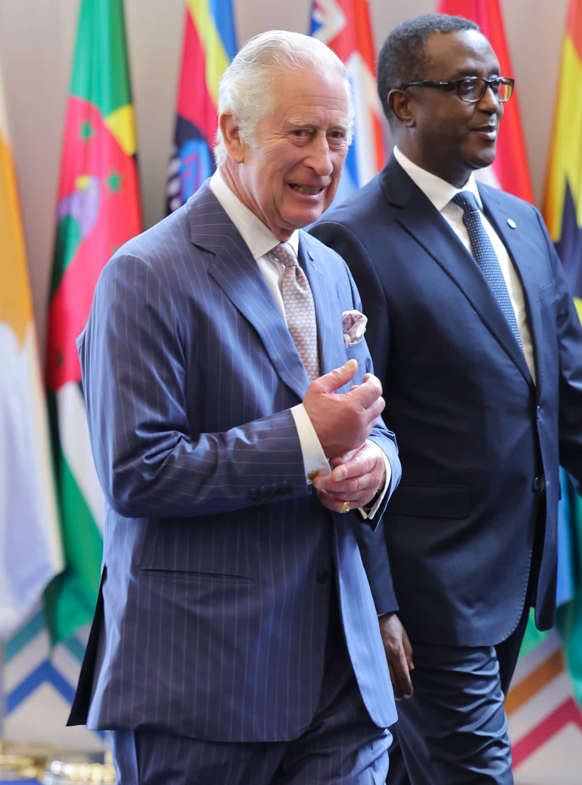 Prince Charles was speaking at a Commonwealth summit   (PA Wire)