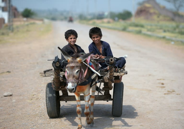 Young Afghan refugee boys ride on a donkey cart in Islamabad, Pakistan