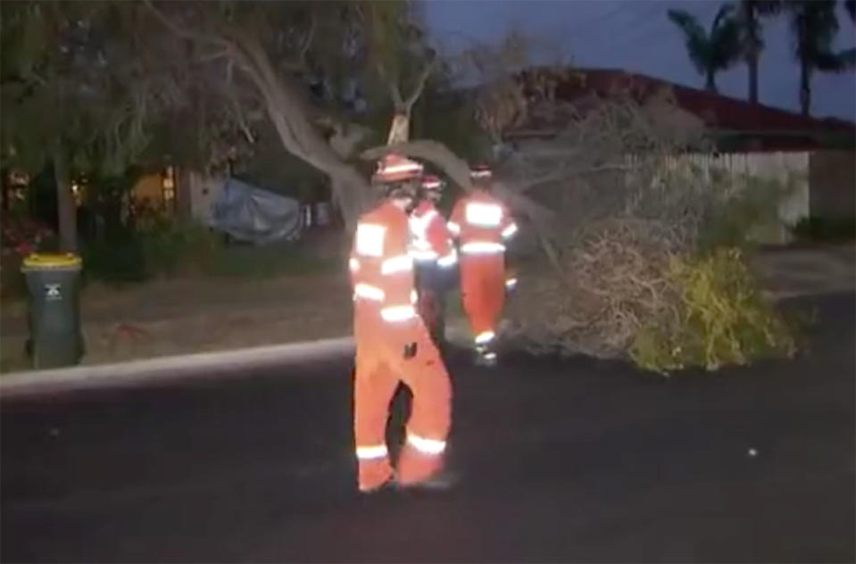 The SES responded to more than 80 calls across Adelaide