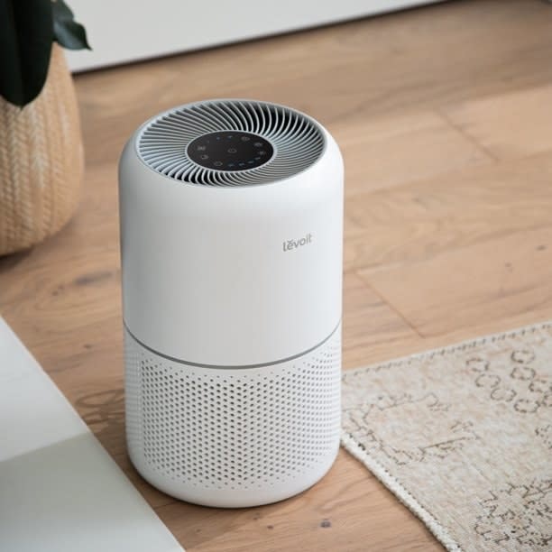 An air purifier by Levoit sits on a wooden floor next to a potted plant