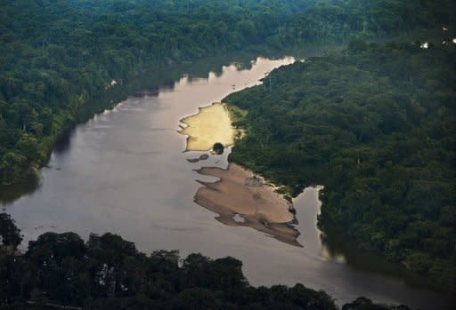 File picture shows an aerial view of the Novo river in the Amazon state of Para, northern Brazil. Brazil will boost its military presence in the Amazon region to protect its huge natural resources from any external threat, Defense Minister Celso Amorim told the Senate