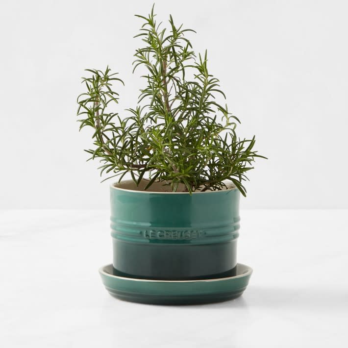 <p><a href="https://go.redirectingat.com?id=74968X1596630&url=https%3A%2F%2Fwww.williams-sonoma.com%2Fproducts%2Fle-creuset-herb-planter-with-tray&sref=https%3A%2F%2Fwww.housebeautiful.com%2Fentertaining%2Fholidays-celebrations%2Fg34428704%2Fgifts-for-neighbors%2F" rel="nofollow noopener" target="_blank" data-ylk="slk:Shop Now;elm:context_link;itc:0;sec:content-canvas" class="link ">Shop Now</a></p><p>Herb Planter With Tray White</p><p>williams-sonoma.com</p><p>$29.95</p>