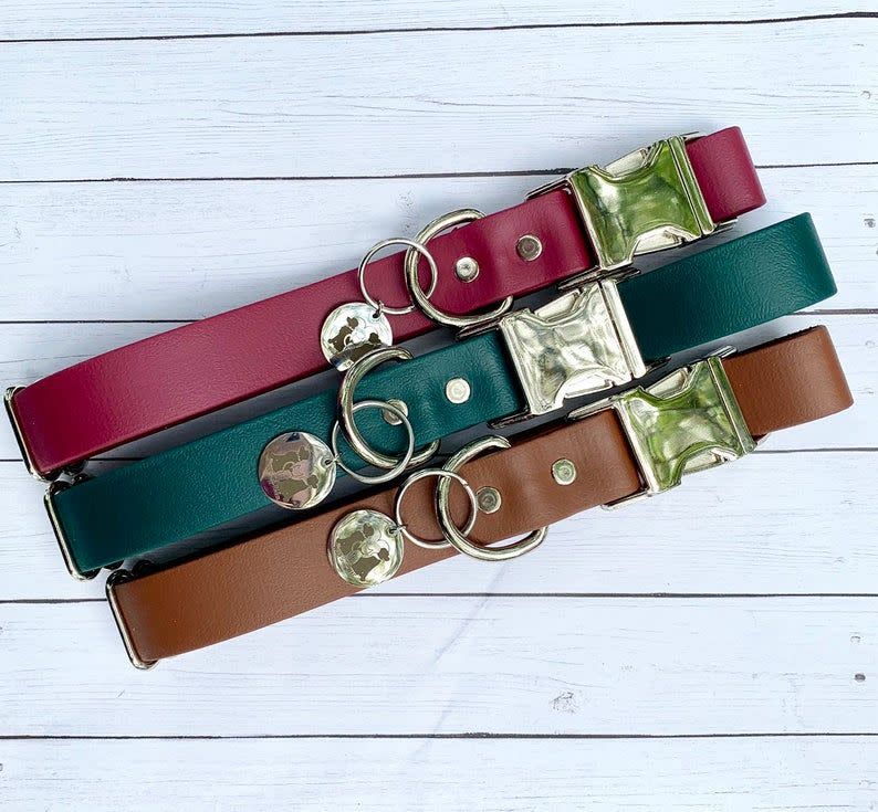 12 Cool Dog Collars That'll Have Your Pup Strutting In Style