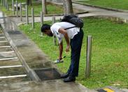 Scattering mosquito pellets in drainage around the affected neighbourhood in Singapore is one action being taken against the Zika virus