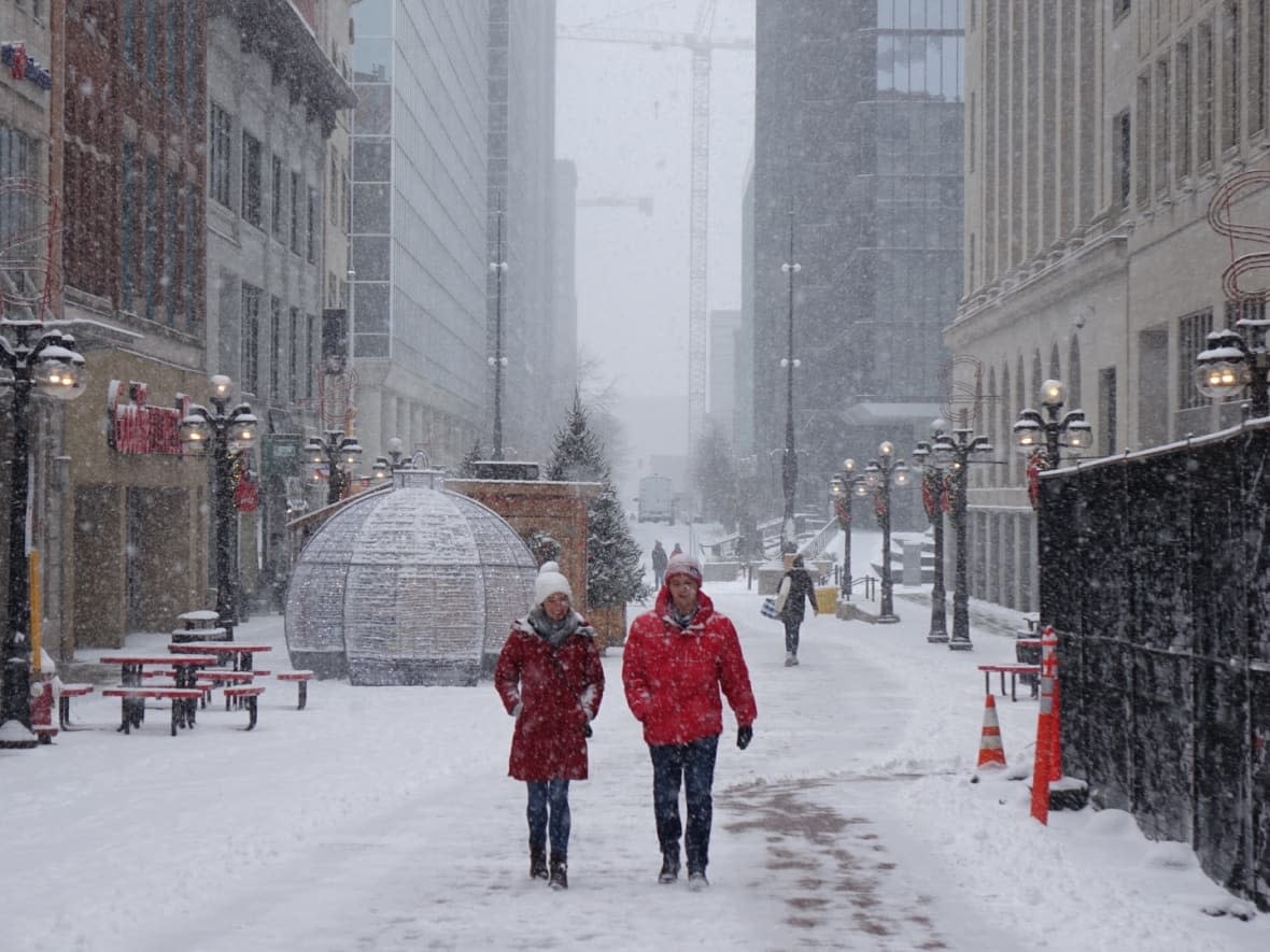 A slew of freezing rain, snow and ice pellets are expected for parts of the region Sunday evening, stretching into Monday morning.  (Joseph Tunney/CBC - image credit)