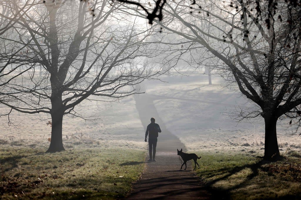 A dog walker out in Hyde Park on Thursday morning amid widespread frost across London.  (AFP via Getty Images)