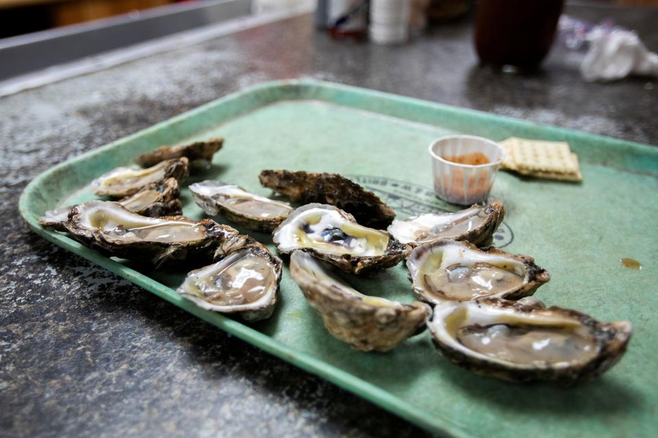 A dozen oysters at Shell Oyster Bar on Thursday, Sept. 1, 2022 in Tallahassee, Fla. 