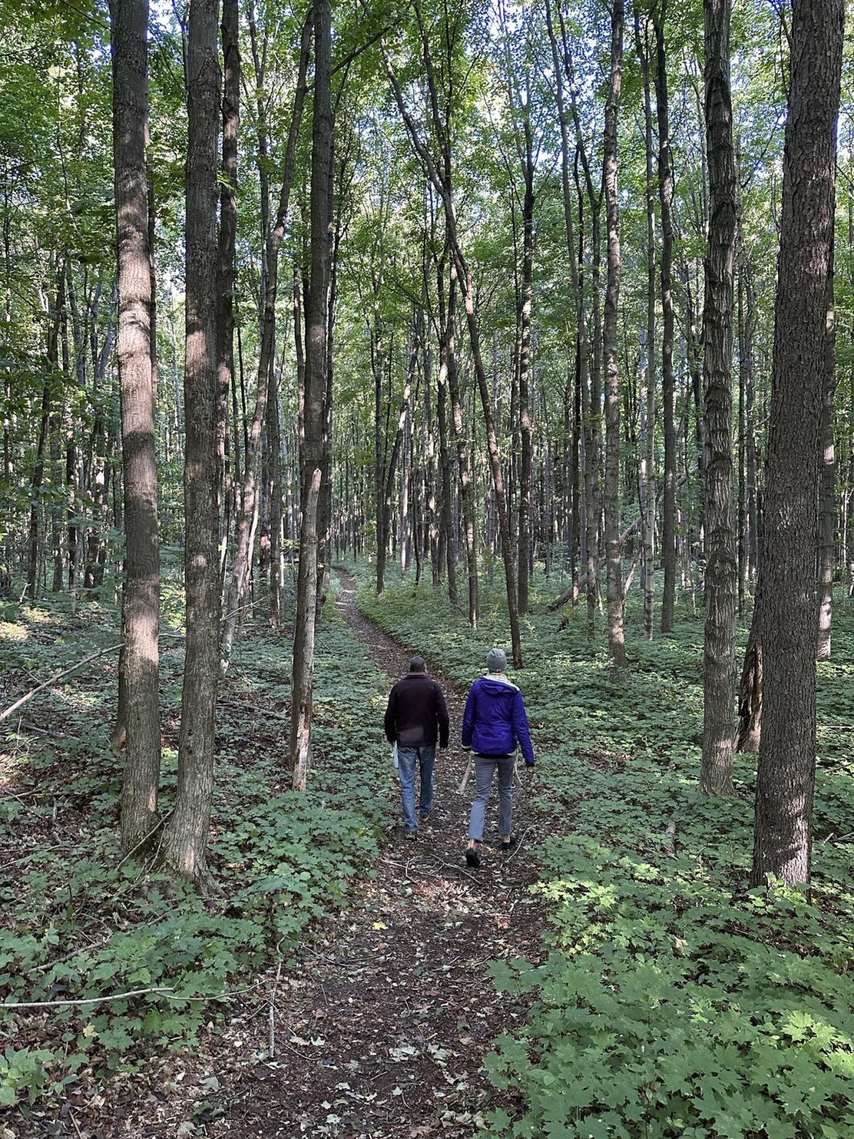 There is an existing trail on a new property in Bay Shore recently purchased by the Little Traverse Conservancy. The 56 acres represents the conservancy’s biggest financial investment in land to date.