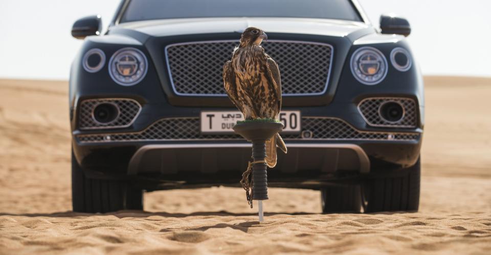 <p>„Die Falknerei wird im Nahen Osten als Sport der Könige angesehen, deshalb war es extrem wichtig, dass die Ausstattung, die wir entwarfen, zwar praktisch und haltbar ist, aber ebenso luxuriös, um unsere geschätzten Kunden dort und weltweit anzusprechen“, sagte Geoff Dowding, Leiter von Mulliner, Bentleys Abteilung für Sonderanfertigungen. </p>