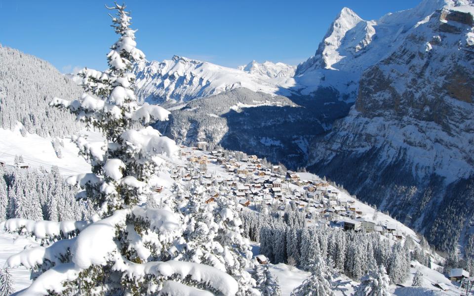 The race is organized annually in the Swiss mountain village of Mürren