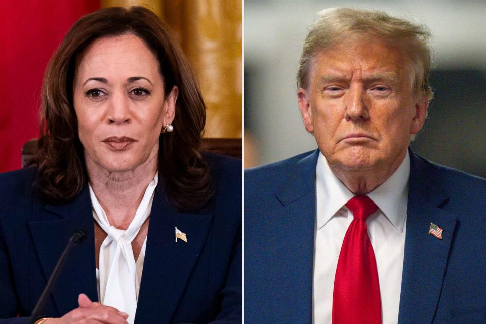 <p>Al Drago/Bloomberg via Getty; Steven Hirsch-Pool/Getty</p> Kamala Harris, Donald Trump