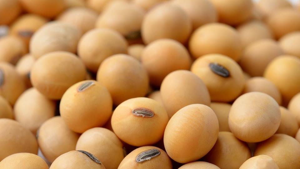 full frame shot of eggs,romania