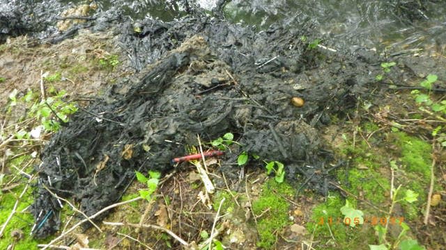 Raw sewage that was dumped into the River Great Ouse at Brackley  (Environment Agency/PA)