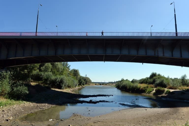 The low water level of the Vistula river and its tributaries has hit Poland's farm sector hard but has had no effect on the capital's supply of drinking water, which is sourced underground