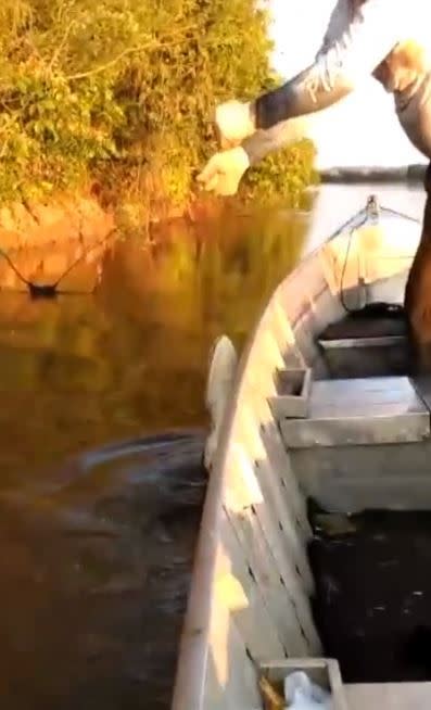 漁夫將魚線拉起。（圖／翻攝自臉書Pantanal Pesca）