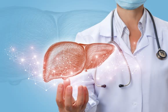 A doctor cupping his hand underneath a 3D image of a liver.