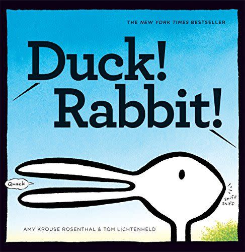 11) Duck! Rabbit!