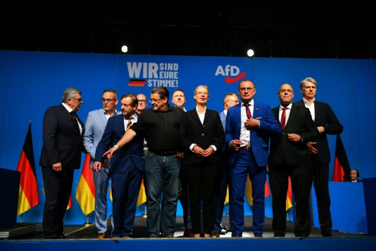 AfD-Chefin Alice Weidel ist unzufrieden damit, dass sie die einzige Frau im neuen Vorstand st. (Volker Hartmann)