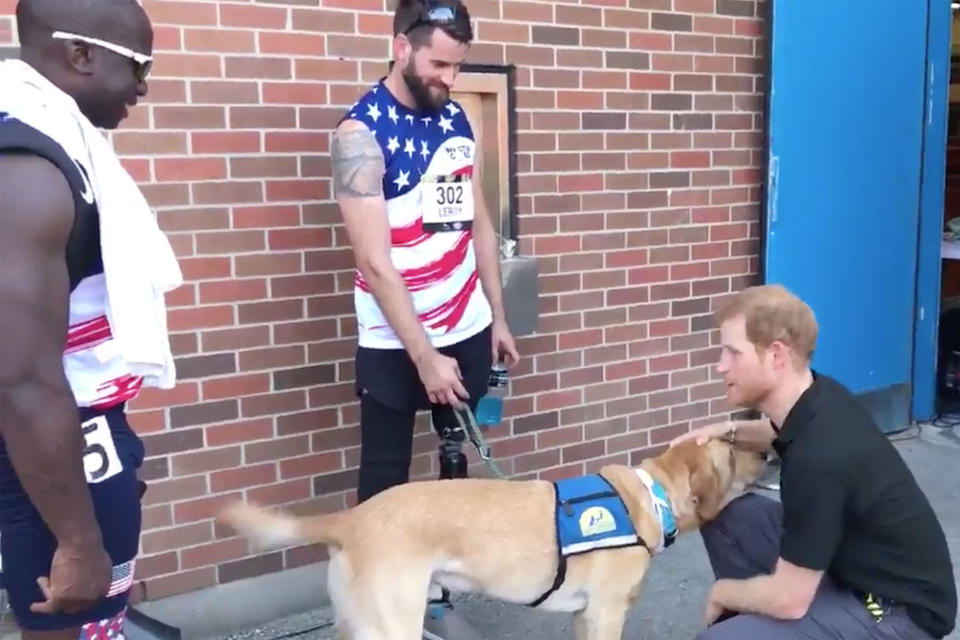 <p>Harry gets in a little cuddle time with a service dog in Toronto. He told the <i>BBC </i>that the games — and their participants — have changed his life. "Being able to wear your nation's flag on your arm or on your chest, being part of a team," he said. "Respect, teamwork discipline, all of these things that are lacking in the world today. These individuals are fantastic role models and role models that I think everyone should all be looking up to."</p>