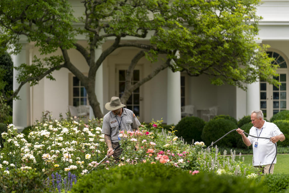 FILE - The Oval Office is visible behind a U.S. Park Service worker watering in the Rose Garden in Washington, July 13, 2021. About 4 million federal workers, from FBI agents to Bureau of Prisons guards to U.S. Food and Drug Administration workers, are to be vaccinated by Nov. 22 under the president’s executive order aimed at stopping the spread of the coronavirus. (AP Photo/Andrew Harnik, File)