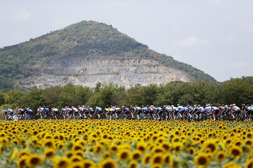 The peloton passes a field of sunflowers in southern France (EPA)