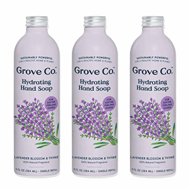 Grove Co. Buy 1 Kids Foaming Hand Soap Dispenser, Get 1 Kids Foaming Hand  Soap Refill Free