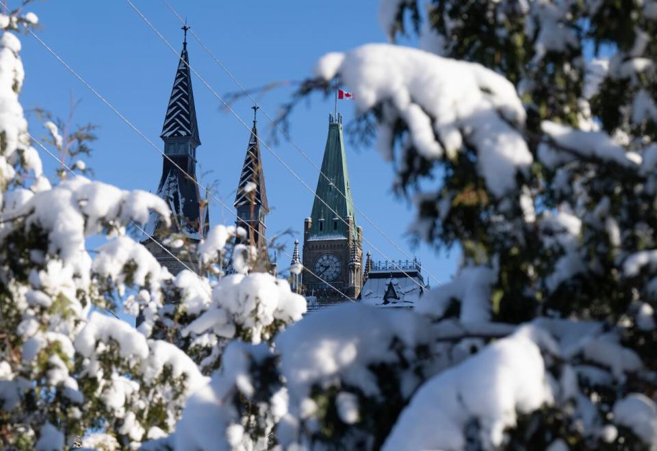 The Peace Tower on Parliament Hill is framed by snow-covered trees Dec. 6, 2023. (Adrian Wyld/The Canadian Press - image credit)