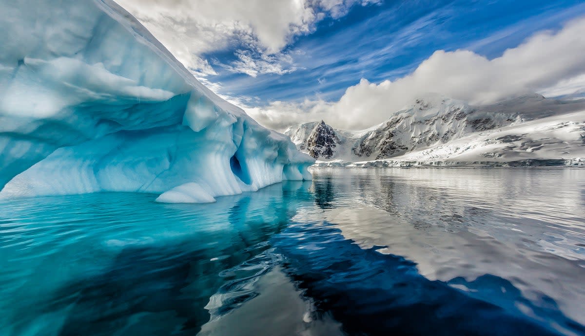 Researchers had been observing Antarctic fish for a decade  (Getty Images/iStockphoto)