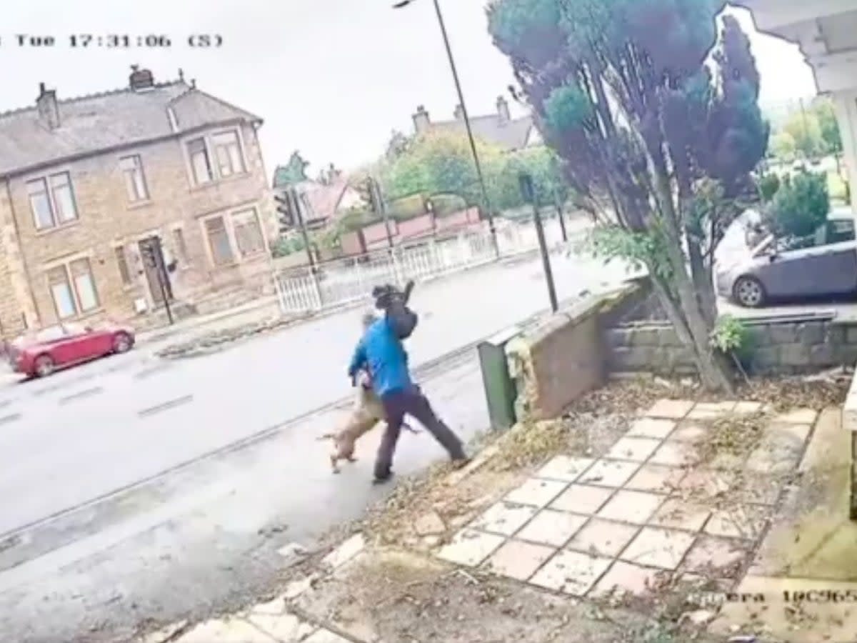 The dogwalker tries to save his pet pulling him out of the bullmastiff’s jaws (@onlinesheffield)