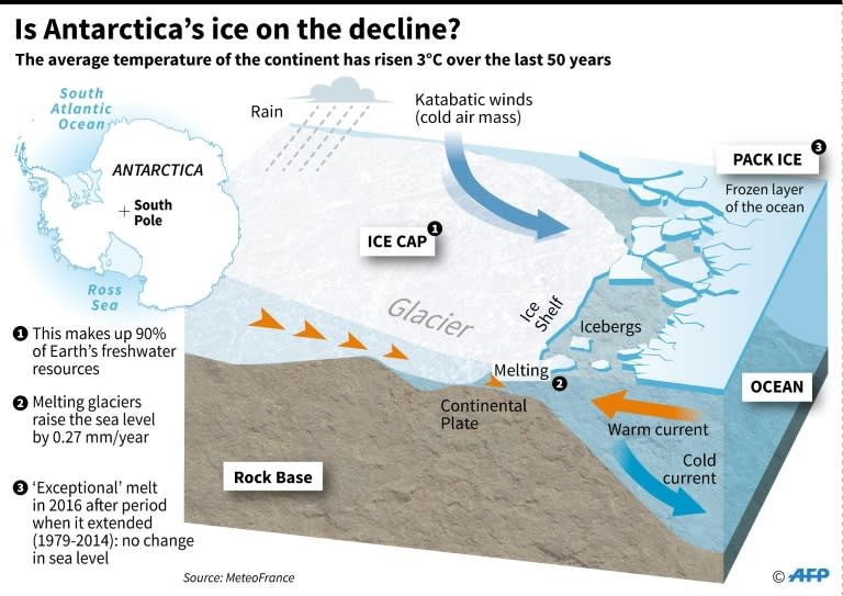 Cutaway of Antarctica with data on the glaciers and ice shelf