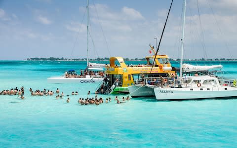 Stingrays in the Cayman Islands - Credit: iStock