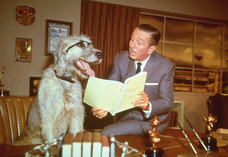 walt disney 1965 dog