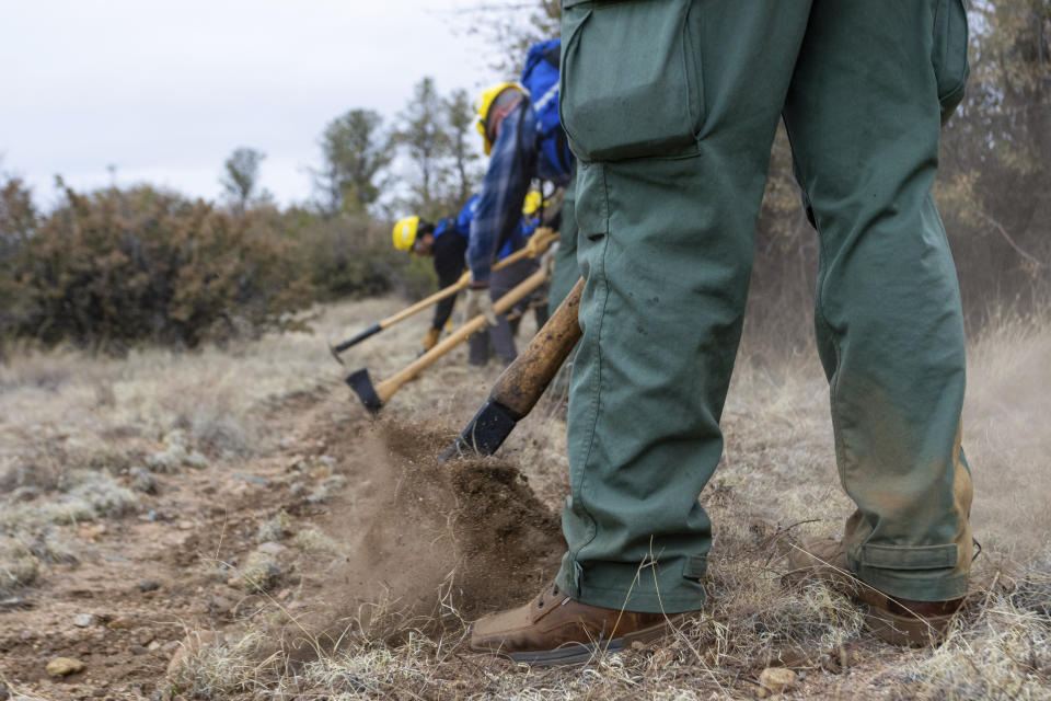 Wildfire Academy students dig a handline, Monday, March 11, 2024, in Prescott, Ariz. Forecasters are warning that the potential for wildfires will be above normal in some areas across the United States over the coming months as temperatures rise and rain becomes sparse. (AP Photo/Ty ONeil)