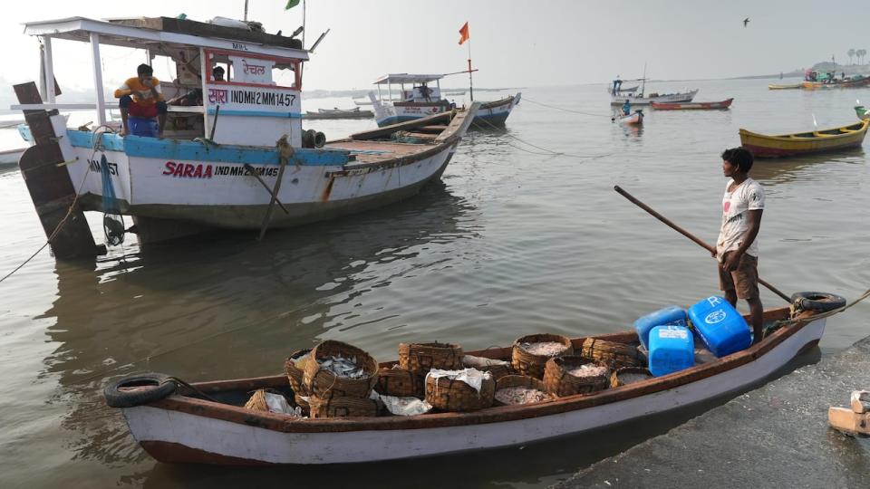 Cyclones in the Arabian Sea, once much more quiet and calm, are twice as frequent now than they were 20 years ago, and pack triple the intensity, which is disrupting the livelihoods of those who rely on the ocean. 