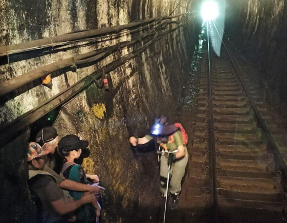 昨有4名遊客為拍照闖進平溪隧道，還好司機眼尖發現人影趕緊煞車才躲過一劫，讓他直呼「你們若不要命，拜託，別拖我下水當劊子手」，網友們也紛怒批！（圖片來源：爆料公社）