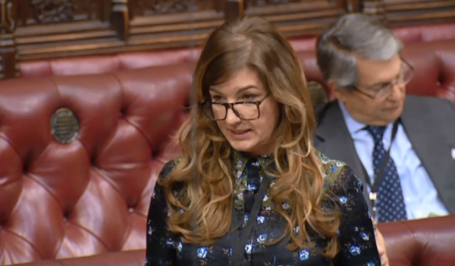 Baroness Brady addresses the House of Lords (PA)